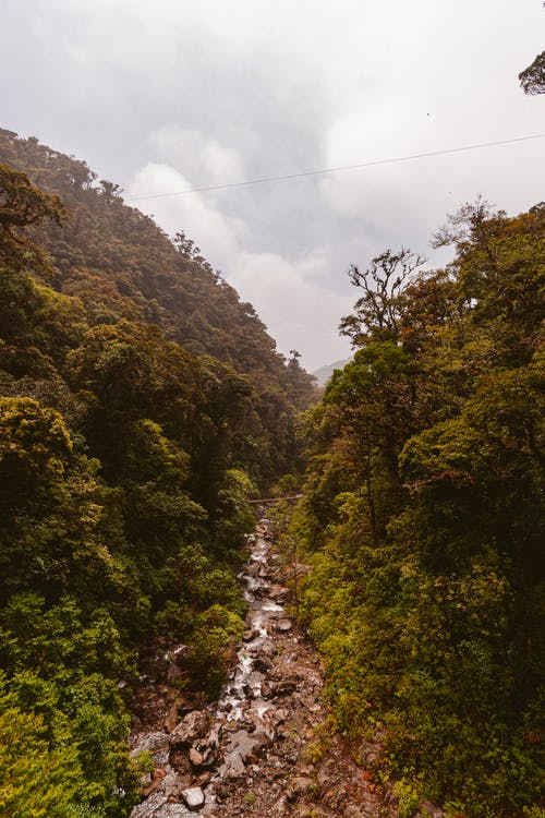 树间河 · 免费素材图片