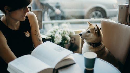 女人在狗旁边的照片 · 免费素材图片