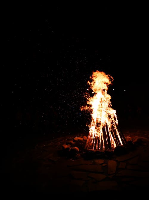 火焰森林 · 免费素材图片