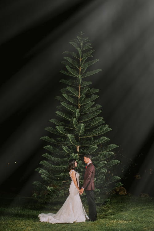 男人和女人站在树旁边 · 免费素材图片