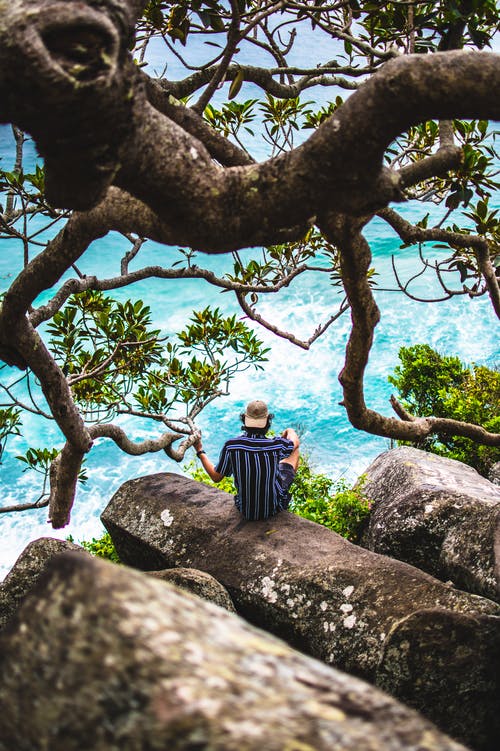一名男子独自坐在树枝附近岩石上的高角度拍摄 · 免费素材图片