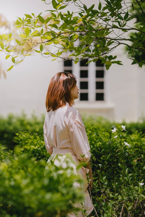 女人站在绿色的植物旁边的摄影 · 免费素材图片