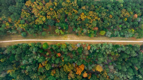 绿树之间的道路高角度摄影 · 免费素材图片