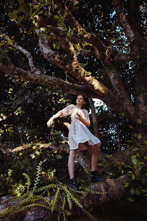 站在树枝上的女人 · 免费素材图片