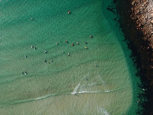 白天的海岸鸟瞰图 · 免费素材图片