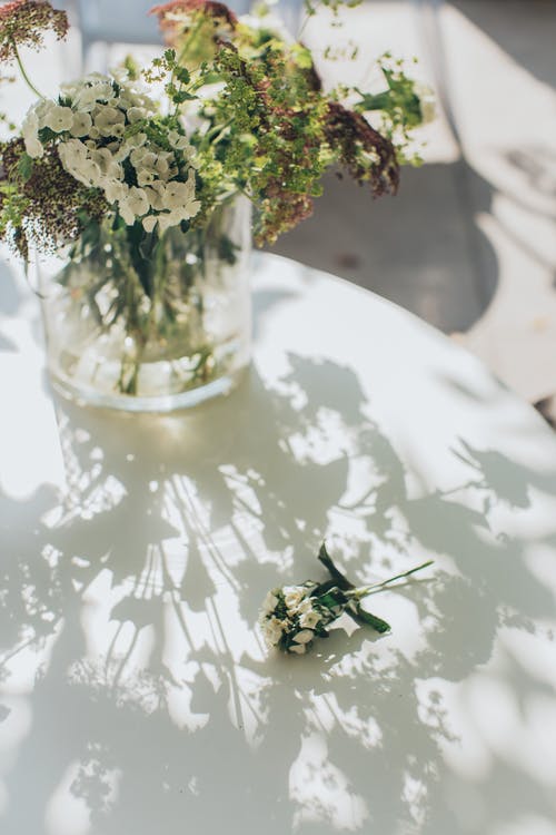 白色花瓣花在花瓶上的照片 · 免费素材图片