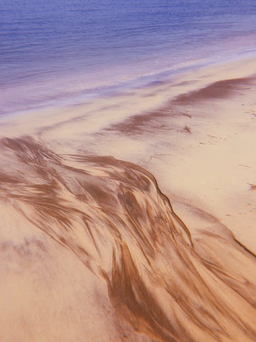 海滨绘画 · 免费素材图片