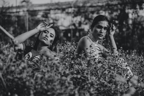 植物附近的两个女人的灰度照片 · 免费素材图片