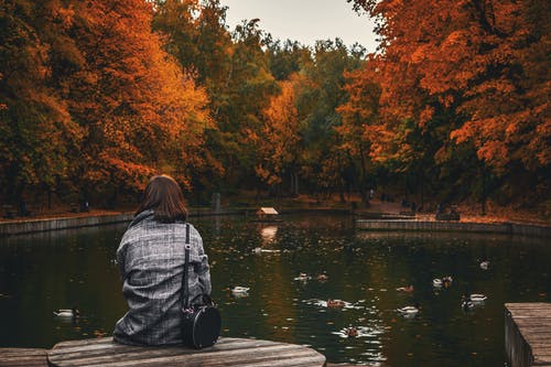 女人坐在水面附近的木质表面的背影照片 · 免费素材图片