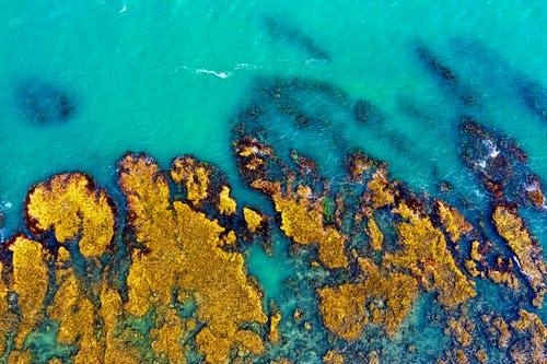 蓝海海滨摄影 · 免费素材图片