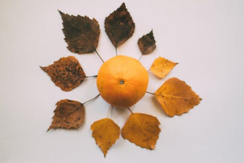 橙色水果包围着叶子 · 免费素材图片