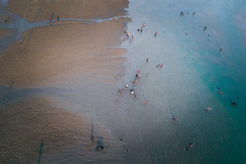 人们在海滩上的航拍 · 免费素材图片