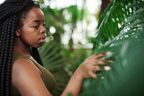 女人触摸绿色的树叶的选择性焦点照片 · 免费素材图片
