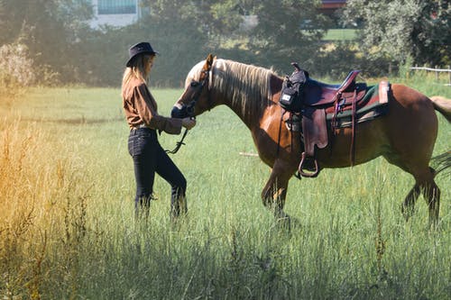 马在农场牧场上的成年女性 · 免费素材图片