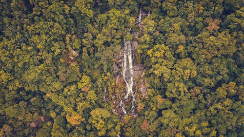 在林地的高岩石上的瀑布 · 免费素材图片