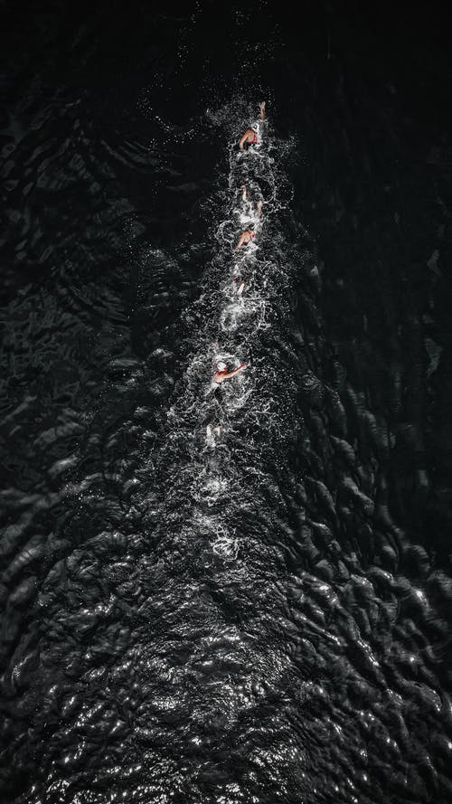 海水中游泳的无人机视图 · 免费素材图片