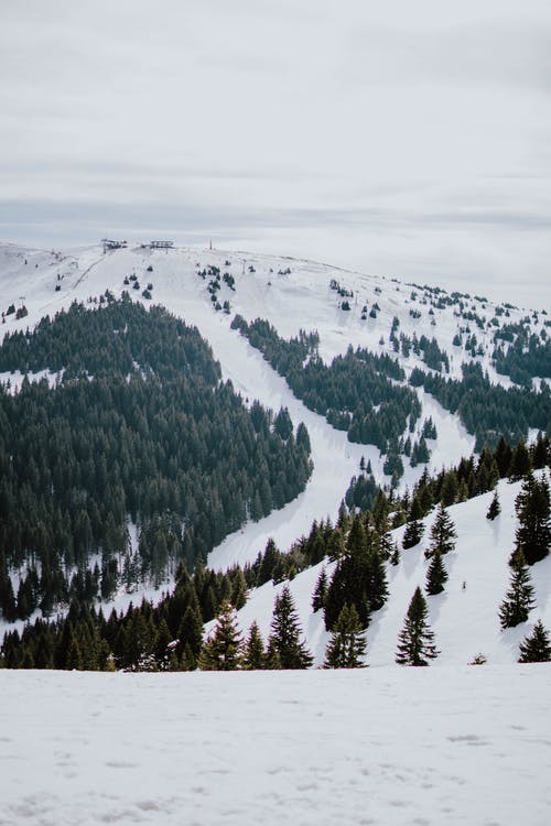 积雪覆盖的山上的绿色松树 · 免费素材图片