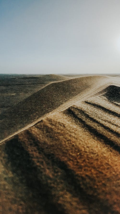 在风景如画的沙漠中的干燥沙丘 · 免费素材图片