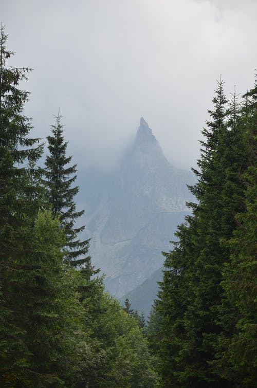 有关天性, 山, 户外的免费素材图片