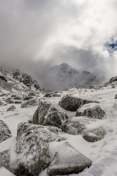 有关下雪的, 天性, 天气的免费素材图片