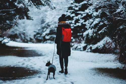 有关下雪的天气, 人, 休闲的免费素材图片