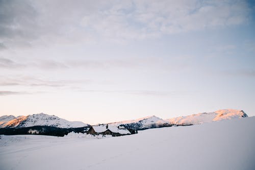 有关下雪, 下雪的, 下雪的天气的免费素材图片