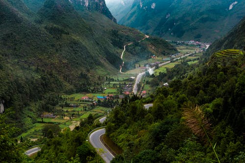 有关增长, 天性, 山的免费素材图片