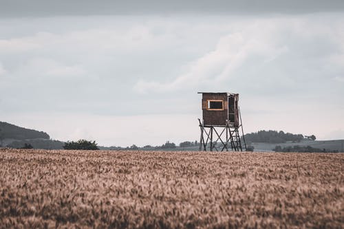 有关小屋, 户外, 放弃的免费素材图片