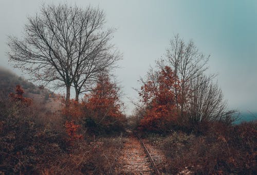 有关下落, 天性, 失修的的免费素材图片