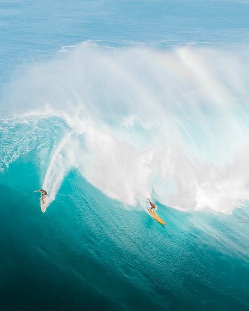 有关wsl, 夏威夷, 大浪的免费素材图片