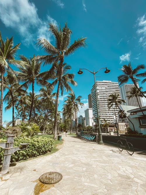 有关人行道, 垂直拍摄, 夏威夷的免费素材图片
