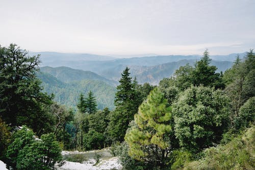 有关冒险, 和平, 和平的的免费素材图片