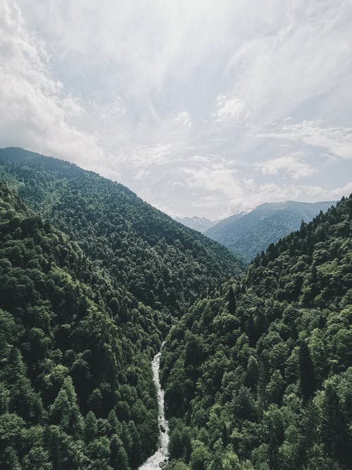 有关垂直拍摄, 夏天, 山的免费素材图片