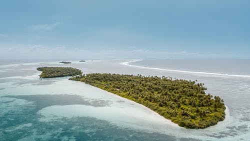 有关冷静, 丛林, 和平的的免费素材图片