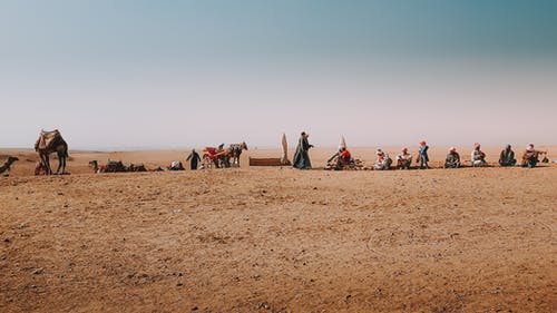 一群人与骆驼在沙漠中 · 免费素材图片