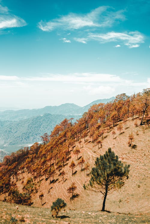 有关山, 岩石, 树木的免费素材图片