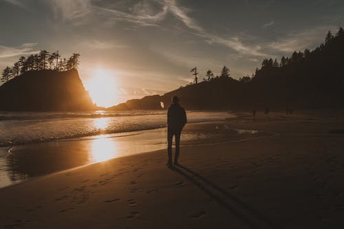 有关侧面, 剪影, 夕阳的颜色的免费素材图片