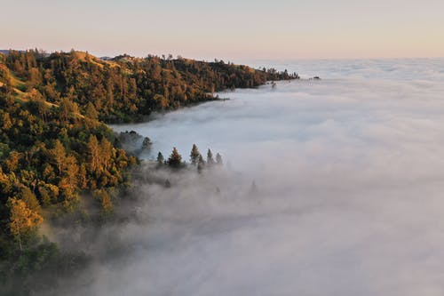 有关土地, 场景, 增长的免费素材图片