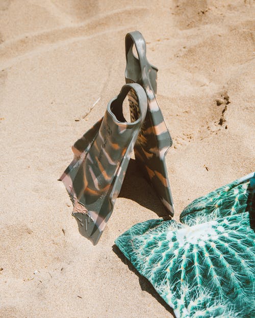 有关snorkle, 夏威夷, 毛巾的免费素材图片
