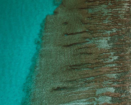 有关夏威夷, 晶莹剔透, 水的免费素材图片