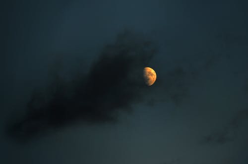 有关夜空, 天文学, 天空的免费素材图片