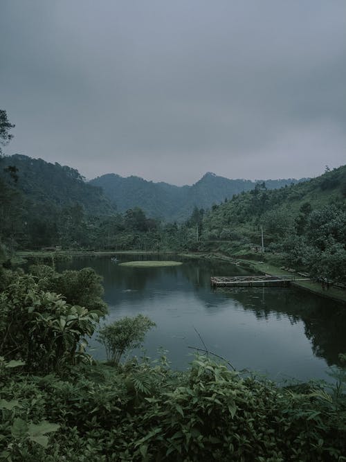 有关垂直拍摄, 天性, 湖的免费素材图片