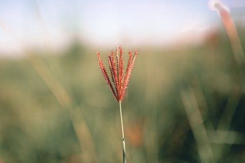 有关乾的, 和平的, 和谐的免费素材图片