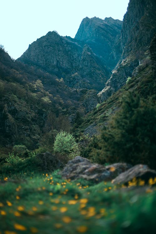 崎with的山脉，与白天的绿草 · 免费素材图片