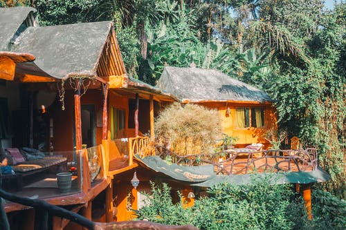 在阳光明媚的度假胜地，郁郁葱葱的热带植被所包围的传统东方房屋 · 免费素材图片