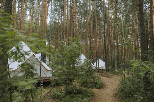 有关glamping, 天性, 户外的免费素材图片