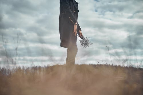 有关不露面, 低角度拍摄, 所迷离的免费素材图片