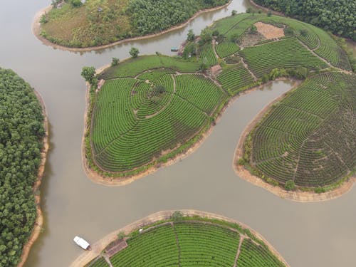 有关nghe an, 传统, 冷静的免费素材图片