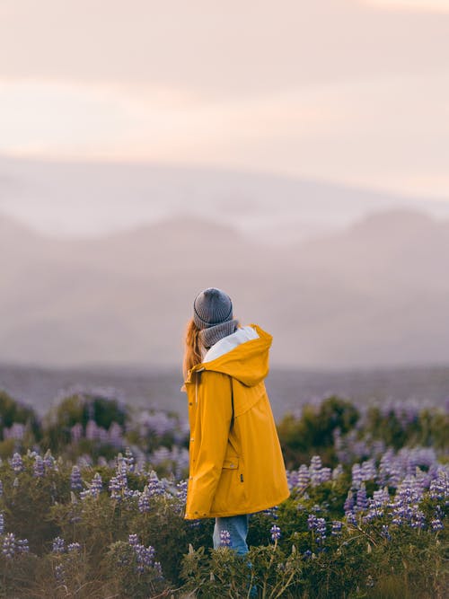 站在薰衣草田里的黄夹克女人的背影 · 免费素材图片