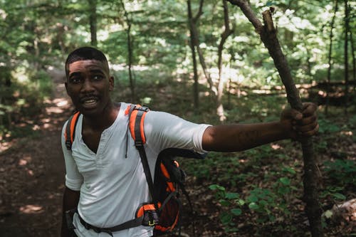 在绿色森林里徒步旅行的黑人男子 · 免费素材图片